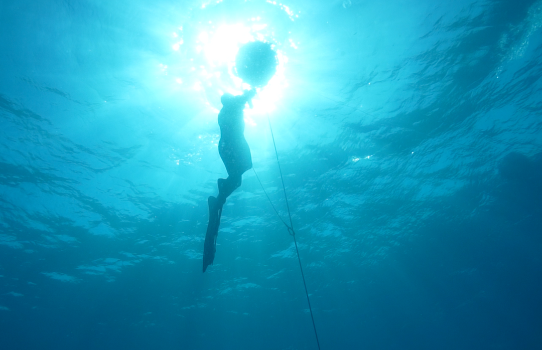 the man is getting out of the sea after free diving